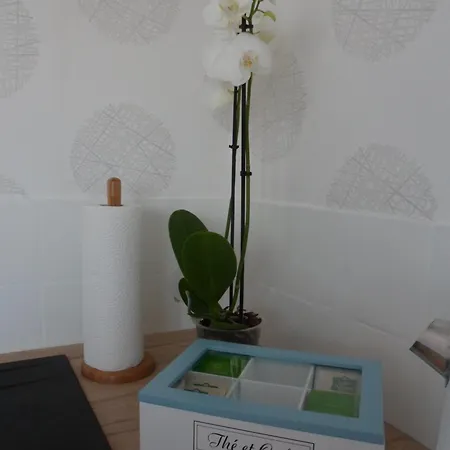Apartment Le Cosy Strasbourgeois Tram A 2' Et Gare Ou Chu Hautepierre A 5' *