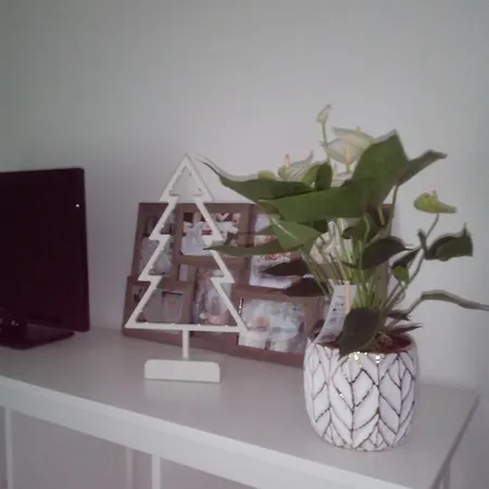 Le Cosy Strasbourgeois Tram à 2' Et Gare Ou Chu Hautepierre à 5',parking Privatif Gratuit Apartamento *