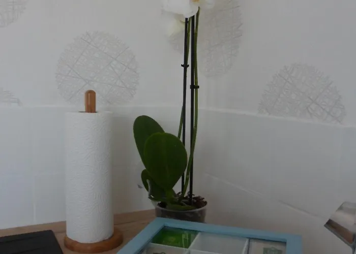 Appartement Le Cosy Strasbourgeois Tram à 2 Minutes Et Gare Ou Chu Hautepierre à 5 Minutes,parking Privatif Gratuit *