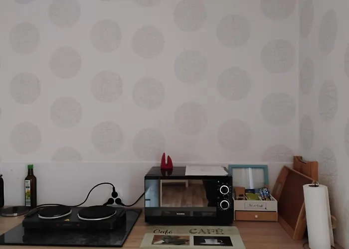 Appartement Le Cosy Strasbourgeois Tram à 2 Minutes Et Gare Ou Chu Hautepierre à 5 Minutes,parking Privatif Gratuit