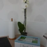 Apartmán Prox Chu Hautepierre *